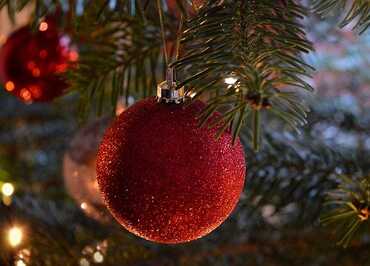 christmas-tree-6870755_640