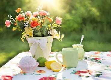 summer-783347_640