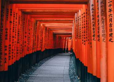 ©UNSPLASH