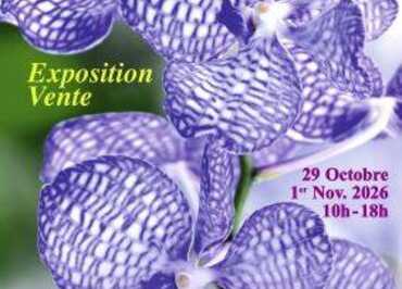 400x400-202602096989e1a5d0608