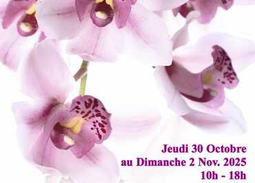 Magie des Orchidées 2025_page-0001