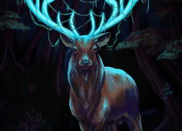 Exposition De curieux animaux