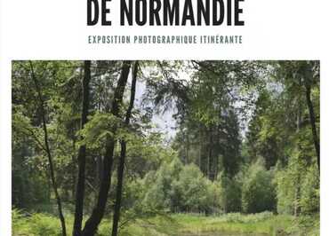 Mares de Normandie