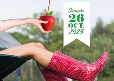Affiche A3 Fête de la pomme 2025