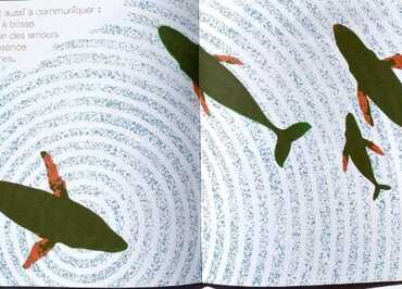 L'eau illustrée : une immersion en album jeunesse avec les éditions La Partie