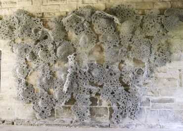 Tanja Smeets, Unbridled Wall, Abbaye de Maubuisson, Saint-Ouen-L’Aumône, France, 2024 © Catherine Brossais-1200x800