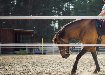 © Kasjan Farbisz de Pixabay