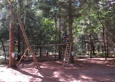 Acroforest brosville