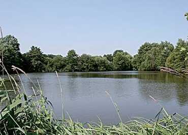 Les Etangs du Moulin
