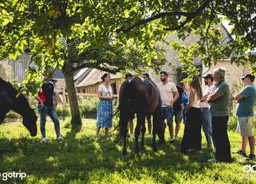 Les Ateliers du Mont Viné
