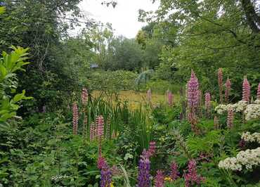 jardins de la herpinière